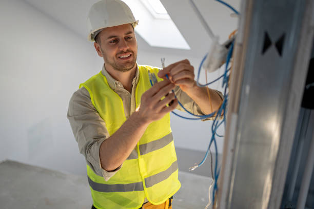 Best Electric Panel Repair  in Wells, MN